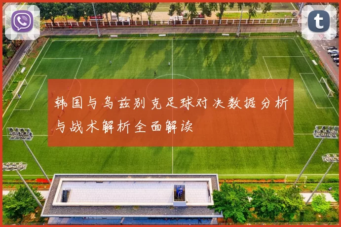 韩国与乌兹别克足球对决数据分析与战术解析全面解读
