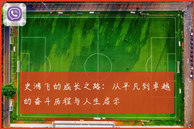 史鸿飞的成长之路：从平凡到卓越的奋斗历程与人生启示