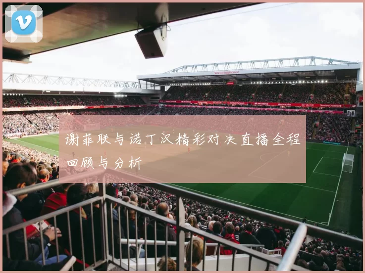 谢菲联与诺丁汉精彩对决直播全程回顾与分析