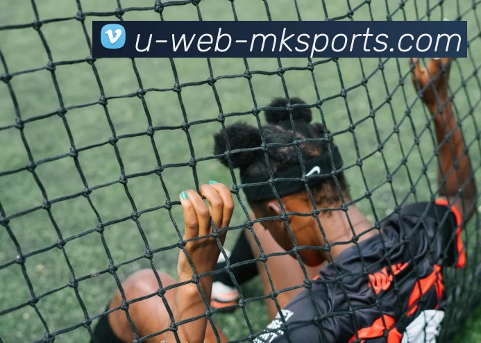 MK体育服务体系